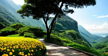 Tips for cognitive clarity