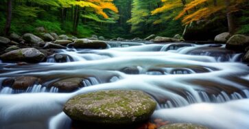 mindfulness meditation audio