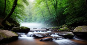 stress relief techniques for adults